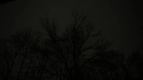 Lightning flash illuminating the night sky over a suburban neighborhood during Stock Footage 341784430