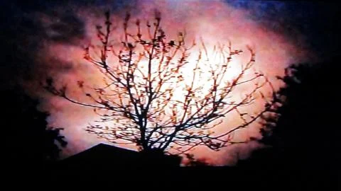 Lightning flash illuminating storm clouds behind bare tree silhouette at night Stock Photos