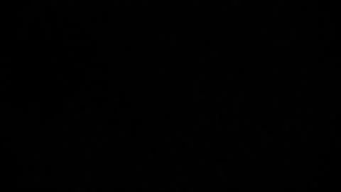 Lightning Flashes at Night in the Dark Sky Above the Forest Stock Footage 166972184