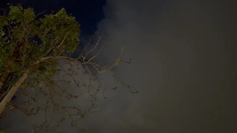 Lightning flashing through storm clouds at night with bare branches. Stock Footage 345047974