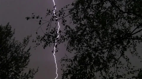 Lightning Stock Footage 23320469