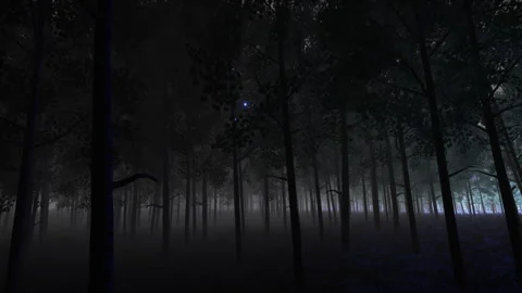Lightning Forest Pedestal Up Shot Vidéo 339369411