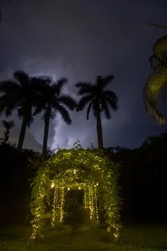 Lightning illuminates the night sky over a backyard Stock Photos