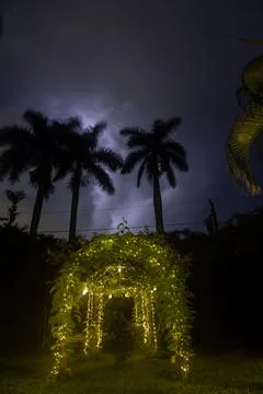 Lightning illuminates the night sky over a backyard Stock Photos