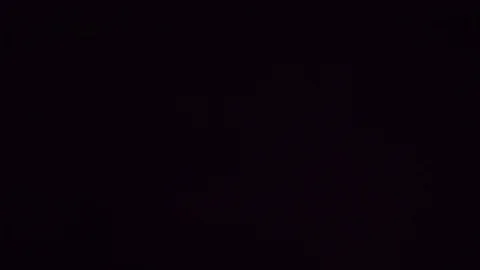 Lightning Night Silhouette Tree Stock Footage 90134648