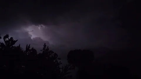 Lightning Night Silhouette Tree Stock-Footage 90135333