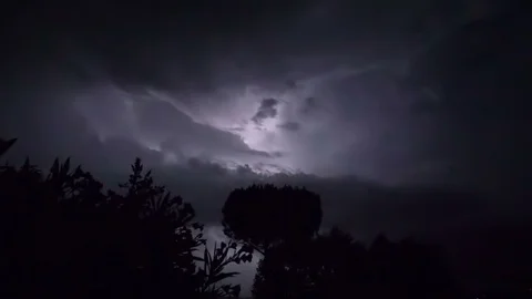 Lightning Night Silhouette Tree Stock-Footage 90344759