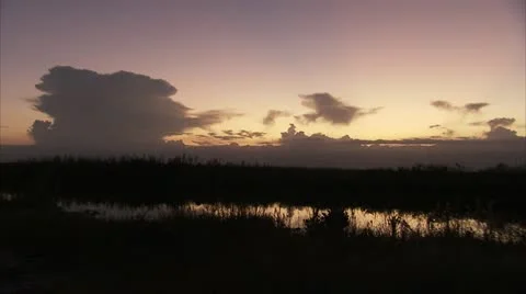 Lightning Over the Everglades Florida Video Stock Footage 12761551