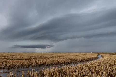 Lightning over the flooded rice fields in Albufera 스톡 사진