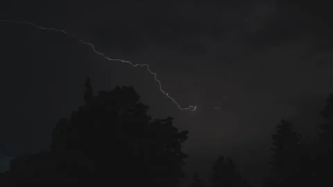 Lightning over forest Stock Footage 239911381