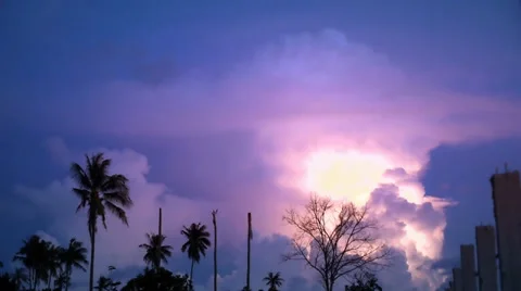 Lightning over Palm in the Tropical Night. 스톡 동영상 37923720
