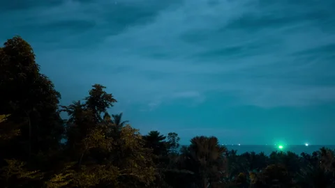 Lightning over trees and sea in the summer evening.4K time-lapse Stock Footage 166074734