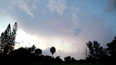 Lightning Over Trees Near Sunset Stock Footage 76745927