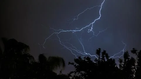 A lightning over the trees. Stock Photos