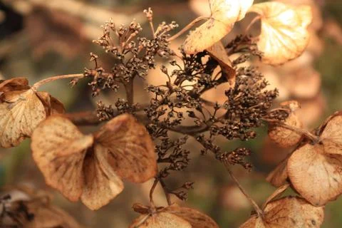 Lightning Stock Photos
