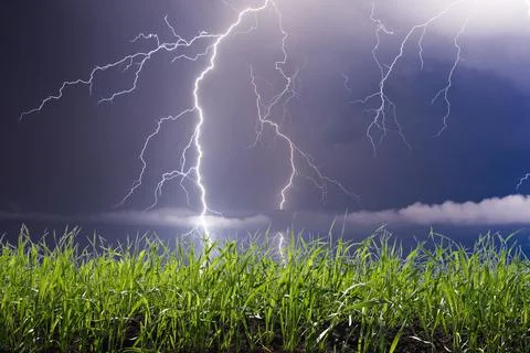 Lightning Stock Photos