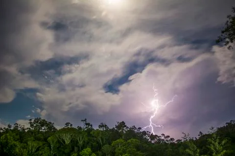 Lightning in the Rain Forest 写真素材