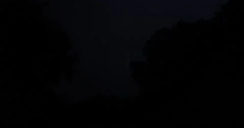 Lightning revealing trees Stock Footage 143911190
