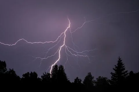 Lightning Sihouettes Trees Stock Photos