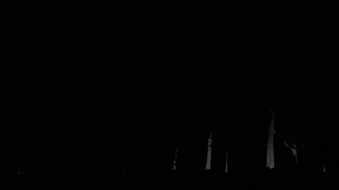 Lightning Storm And Trees Loop Stock-Footage 141136891
