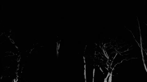 Lightning Storm And Trees Loop Stock Footage 141137172