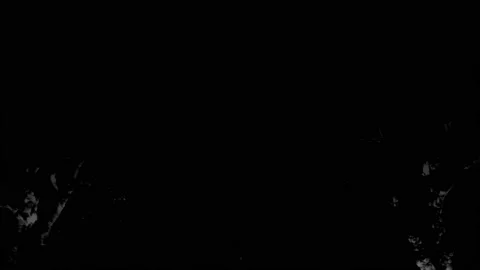 Lightning Storm And Trees Loop Vidéo 141137332