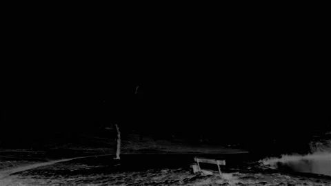 Lightning Storm And Trees Loop Stock-Footage 141137776