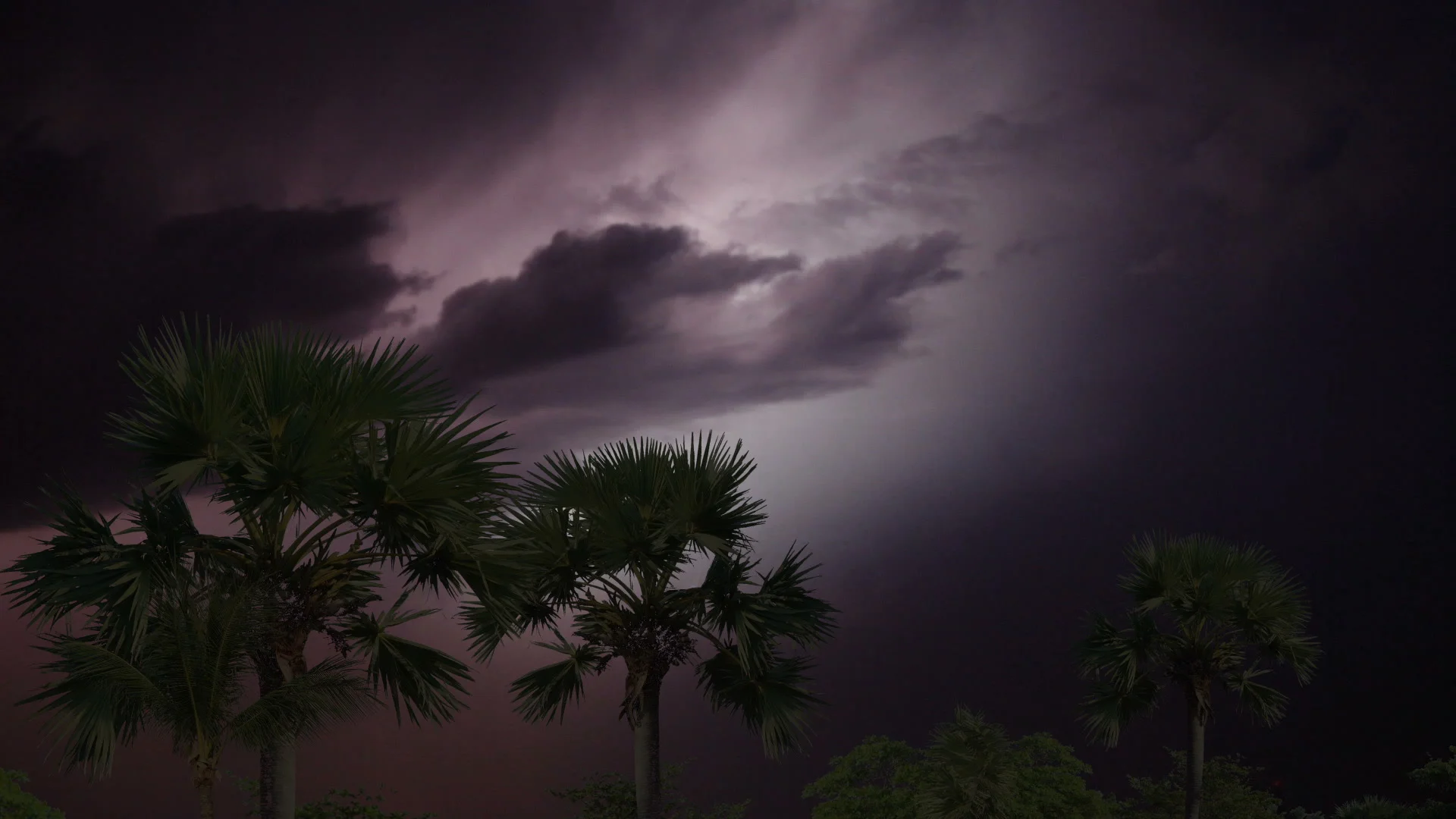 Lightning in storm clouds over the jungle. .