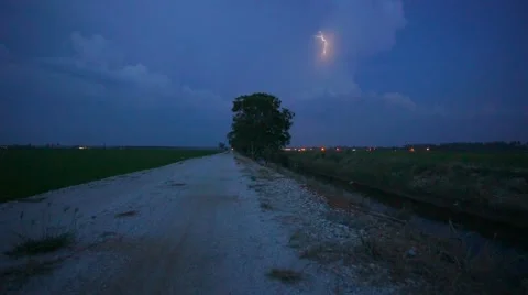 Lightning Storm During Blue Hour Over Single Tree Stock Footage 47983949