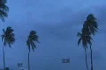 Lightning - Storm Fiona - Thunderstorm-Lightning behind Palm Trees w audio Footage