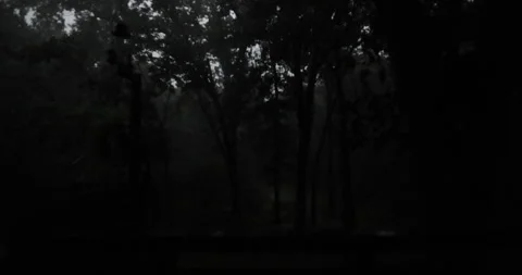 Lightning storm at night in the  forest Video stock 284446259