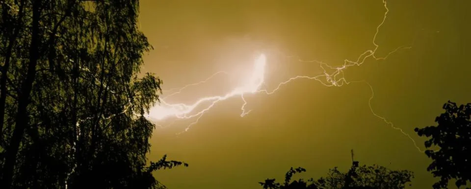 Lightning storm in the night sky with trees silhouette Stock Photos