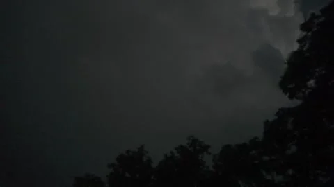 Lightning Storm Over Trees Stock Footage 344981167