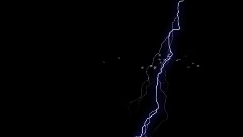 Lightning Storm Seagulls Flight at Night Stock Footage 325329469