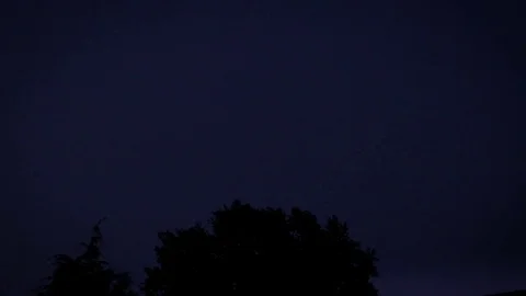 Lightning storm shot with 240 fps Video stock 77956015