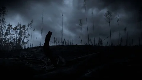 Lightning storm time lapse in a forest at night Stock Footage 82974975