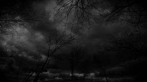 Lightning storm time lapse in a forest at night Stock Footage 83426193