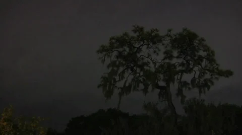 Lightning Storm Timelapse Stock Footage 398203