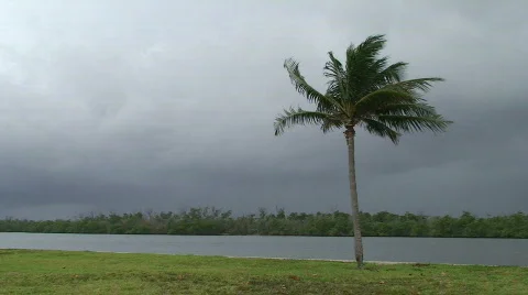 Lightning Strike Stock Footage 401418