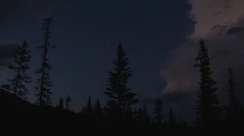 Lightning Strike in Forest 2 Stock Footage