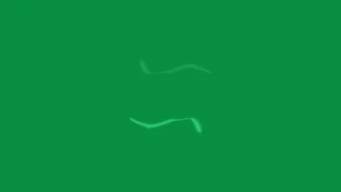 Lightning Strike on Green Screen. Stock Footage 293553161