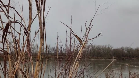 Lightning strike over calm river during daytime thunderstorm in winter landscape Stock Footage 330923210
