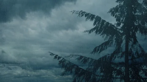Lightning Strikes In The Clouds Above Tree In Rainstorm Stock Footage 246931250
