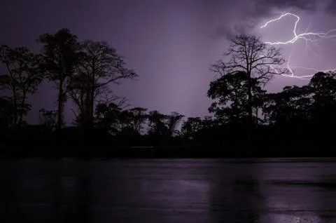 Lightning strikes during dramatic thunderstorm with silhouettes of trees and Stock Photos