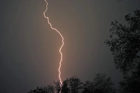 Lightning that strikes the forest Stock Photos