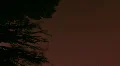 Lightning strikes in the mountains - bright sky flashes vertical format HD 동영상