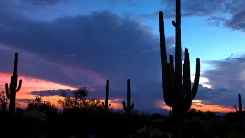 Lightning Strikes Sunset Clouds Over Arizona Landscape Time Lapse Stock Footage 78741660