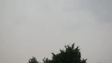 Lightning strokes over a tree Stockbeeldmateriaal 249952967