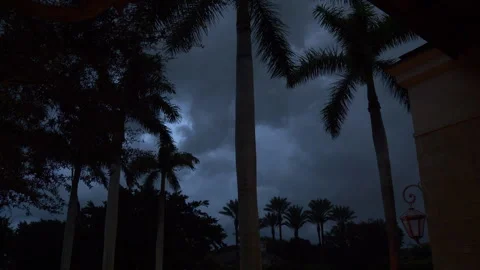 Lightning Through Trees Stock Footage 284784262