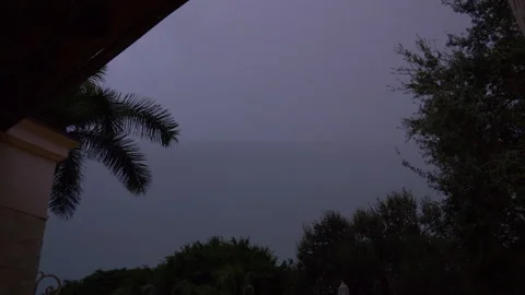 Lightning Through Trees Stock Footage 284784271